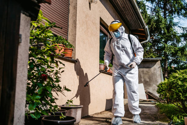 Flea Control Services in Green River, WY