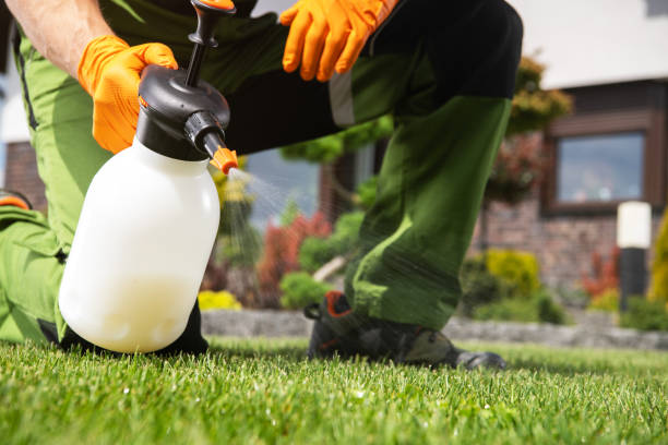 Best Flea Control Services  in Green River, WY