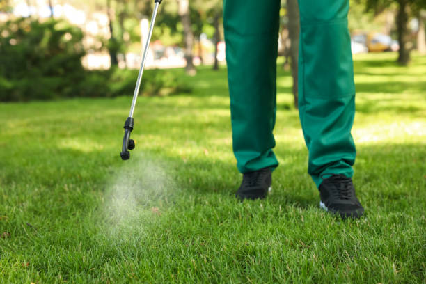 Best Bed Bug Extermination  in Green River, WY