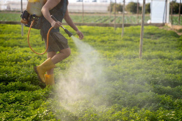 Best Pest Control Near Me  in Green River, WY