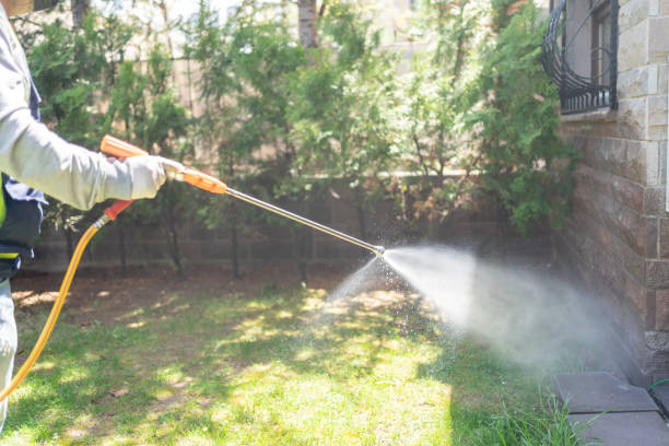 Best Pest Control Near Me in Green River, WY