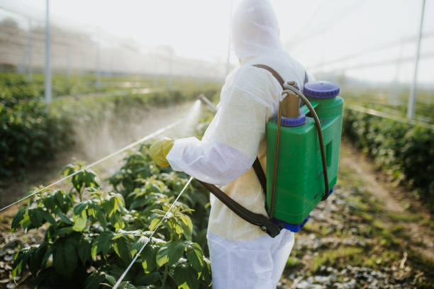 Best Ant Control Services  in Green River, WY